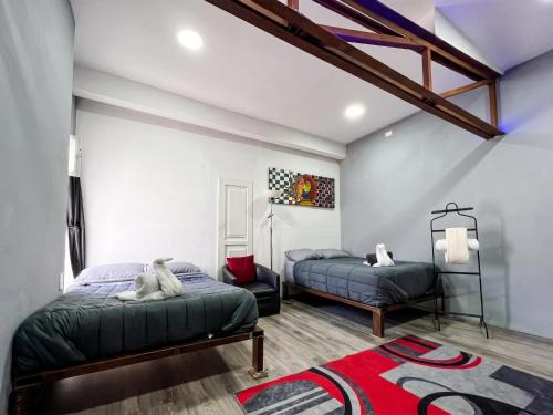 San Luis Potosi Apartment | Acogedor Loft para Hasta 6 Personas