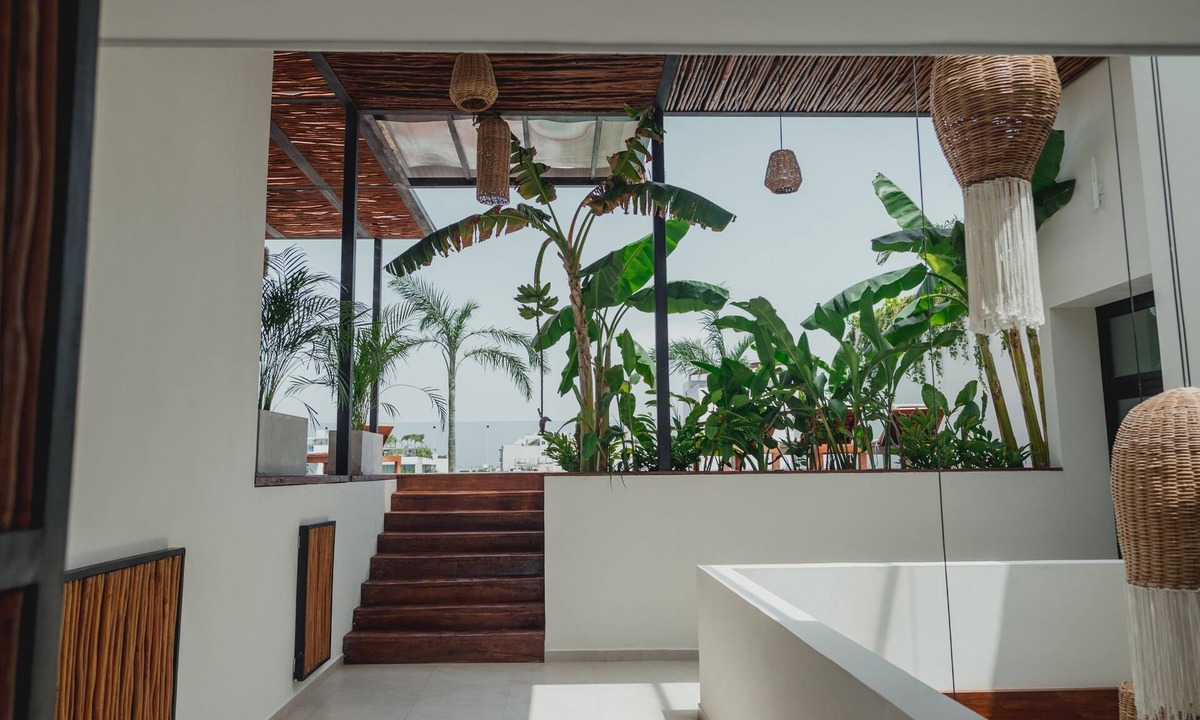 Zazil-ha Hotel | Ah Xok suites 5a Avenida