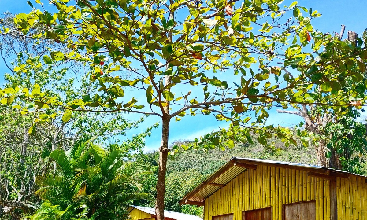 Catemaco Cabin | Bamboo cabin with 2 double beds