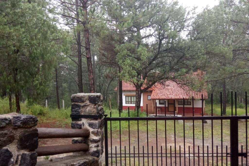 Huasca De Ocampo House | Cabaña ecológica en el bosque
