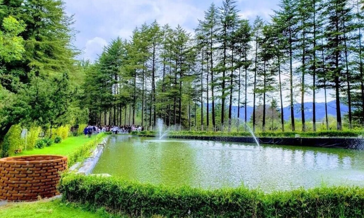 Pachuca Cabin | CABIN FOR 4 PEOPLE #1 @JARDIN RINCON DE LAS ESTRELLAS
