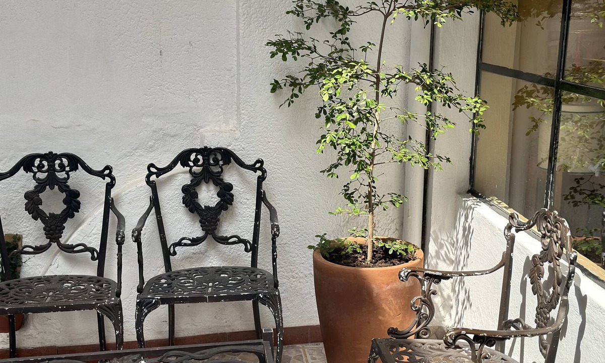 Guadalajara House | Casa Juárez en Tlaquepaque ¡a tu Familia le Encantará!