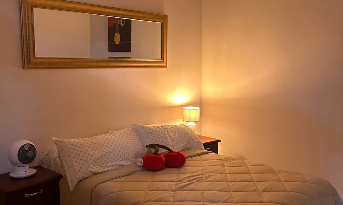 Xalapa Apartment | Cherry apartment 🍒 in downtown Xalapa. Within reach of everything!