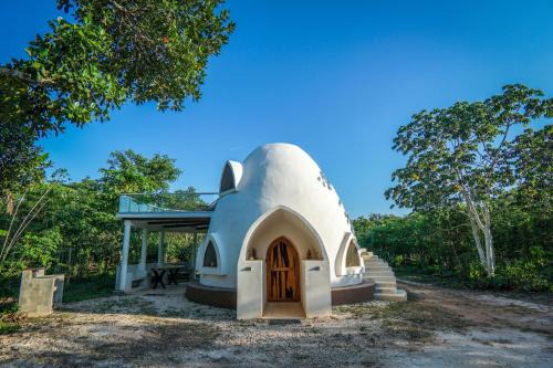 Solferino Other | Dome @Jackfruit Jungle Paradise
