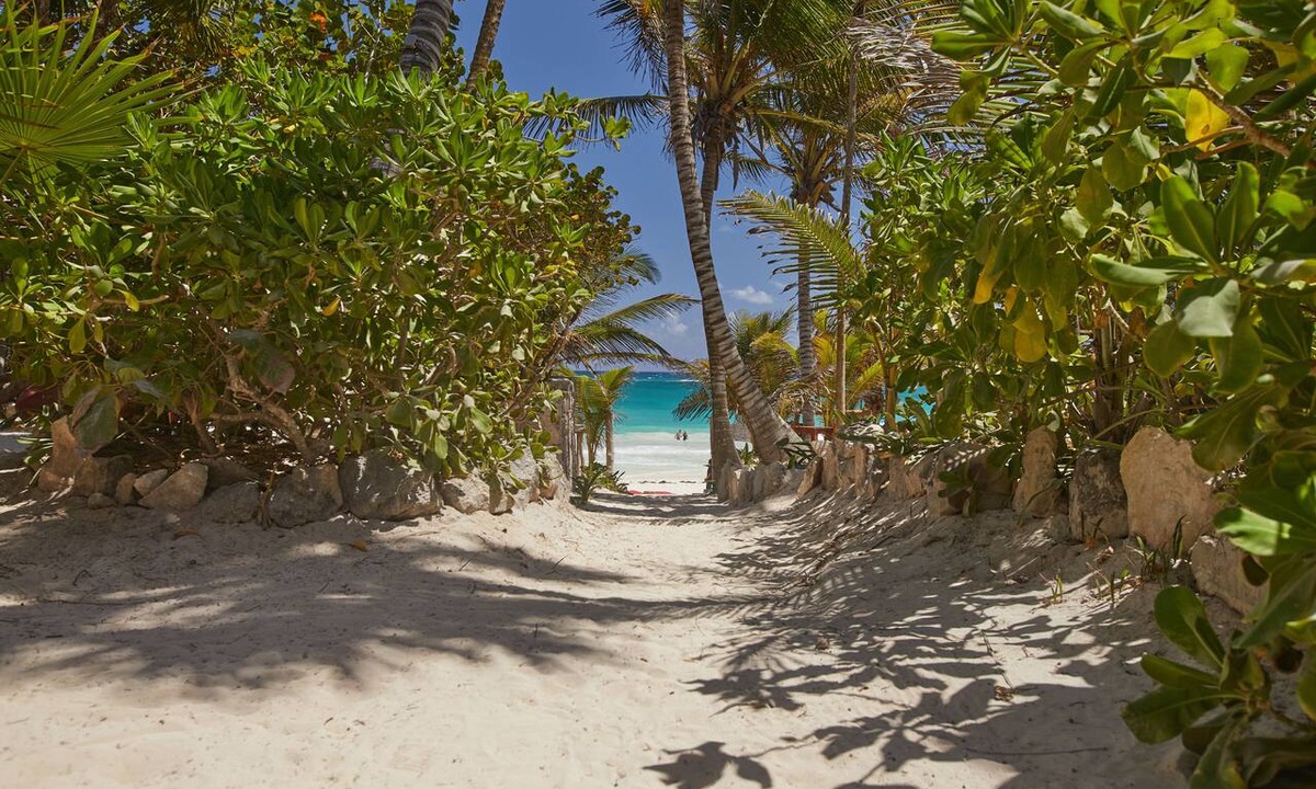 Zona Hotelera Hotel | Dos Ceibas Tulum Feel Good Hotel