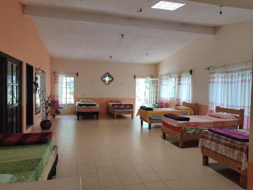 Xico House | EL Jardin De Los Anturios