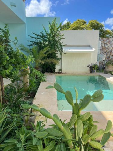 Chelem House | El Oasis