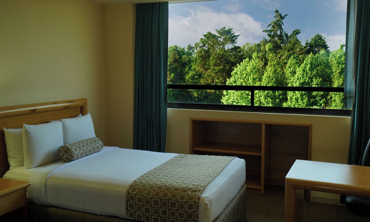 Xalapa Hotel | Gamma by Fiesta Americana Xalapa Nubara