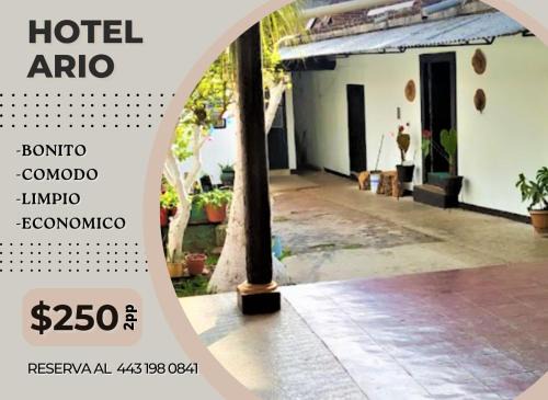 Ario de Rosales House | Hotel Ario