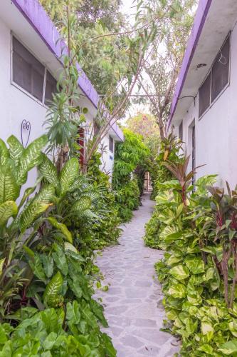 Barrio de Santiago Hotel | Hotel Aventura