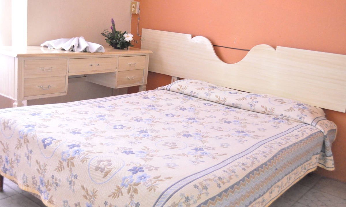 Irapuato Hotel | Hotel Metropolitan II