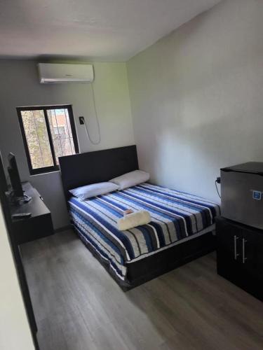 Palenque Hotel | Hotel mg