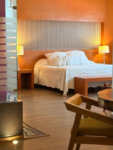 Ciudad Guzman Hotel | Hotel Tlayolan