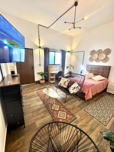 Mexico Apartment | Large, well-lit apartment 4