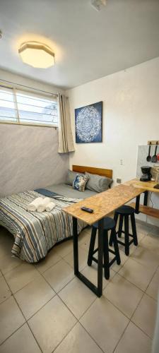 Ricardo Flores Magon Apartment | Loft #1 a una cuadra de Playa Regatas Oyster Suites