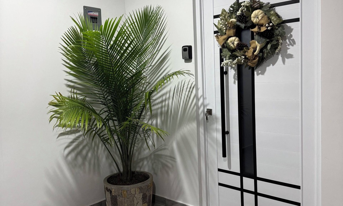 Xalapa Apartment | Modern, Centrally Located and Cozy | All New