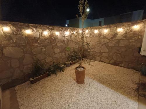 Queretaro House | Perfect for Vacationing