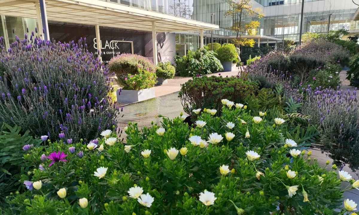Lomas de Sotelo Apartment | Polanco y Periférico Para Ejecutivos