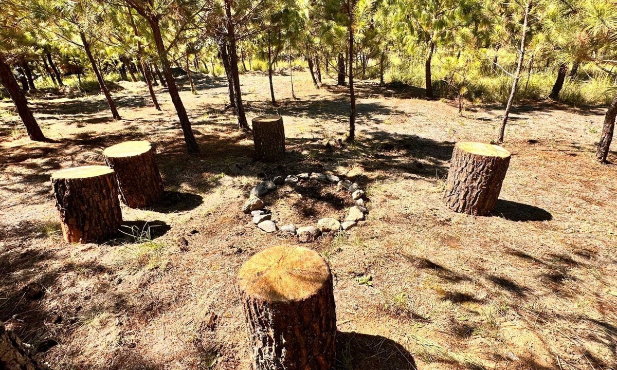 Omitlan de Juarez Cabin | Your perfect shelter among the trees
