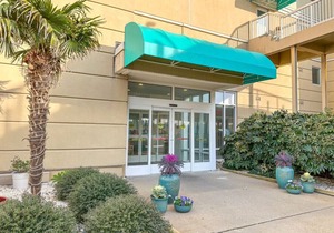 Dolphin Watching Paradise! Amazing 11th Floor Views 1101 in Virginia Beach