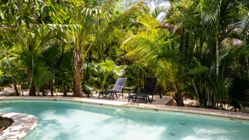 Coba Hotel | Aldea Coba a Comfortable Sleep in the Jungle