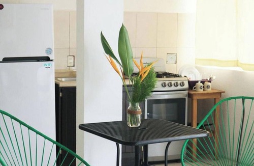 Brisas de Zicatela House | Apartment with blacony and sea view