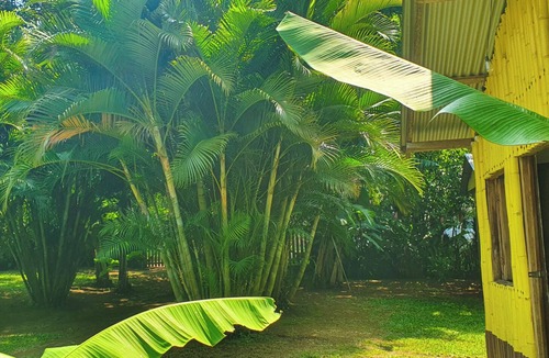 Catemaco Cabin | Bamboo cabin with 2 double beds