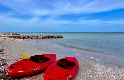 Chuburna Puerto House | Beachfront House with Terrace & Bar, AC, 6 Max