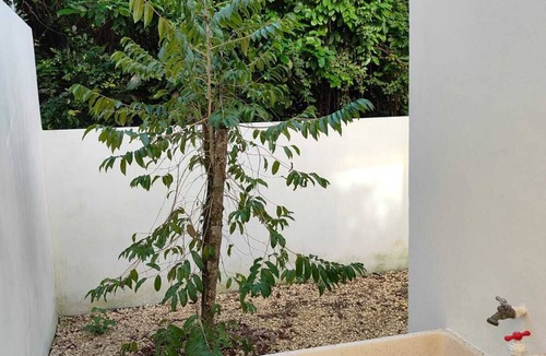 Villa Juarez House | Beautiful house for rent, walking distance to the beach 1 bedroom plus sofabed