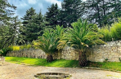 Pachuca Cabin | CABIN FOR 4 PEOPLE #3 @JARDIN RINCON DE LAS ESTRELLAS