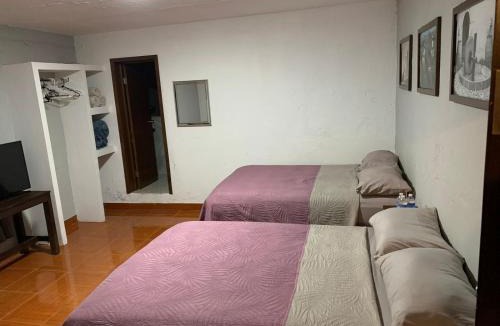 Tequila Apartment | Casa Aleya