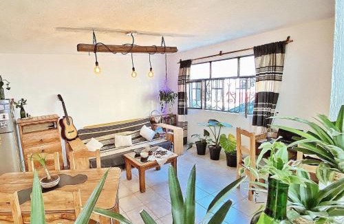 De Guadalupe Hostel | Casa Boutique 55