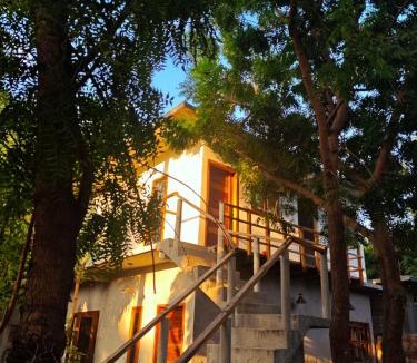 Puerto Angel Apartment | Casa Momo Playa Zipolite Oaxaca