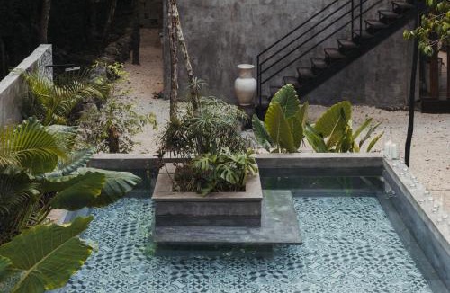 Leona Vicario Hotel | Casa Tattva