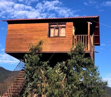Omitlan de Juarez House | Casita del Arbol Trini By GEstores