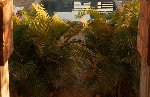 Cerritos Cabin | Cerritos Baja Eco Pet Friendly Boutique stay