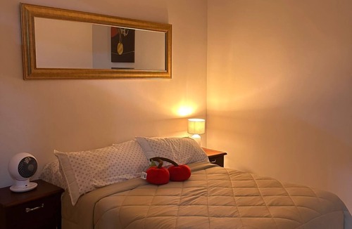 Xalapa Apartment | Cherry apartment 🍒 in downtown Xalapa. Within reach of everything!