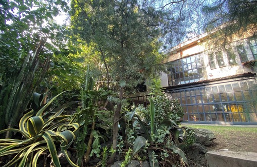 Coyoacan House | Coyoacán Luxurious Home & Garden