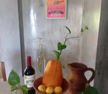 Bacocho Apartment | Departamento Ninfa "Alojamiento Completo"