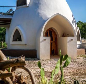 Solferino Other | Dome @Jackfruit Jungle Paradise