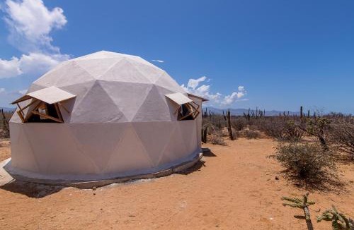 La Paz Other | Domo - Cactus Lodge Baja