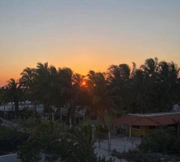 Chelem House | El Oasis