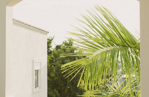 Tulum City Center Apartment | Gardenia Collective