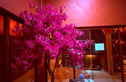 San Diego de la Union Hotel | Hotel Estancia Bugambilias