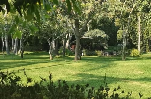Jiutepec Hotel | Huayacán Cuernavaca Curamoria Collection