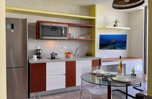 Ejidal Apartment | Luxury Rooftop Ocean view Pool | Singular Joy