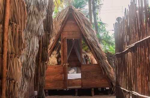 Isla Holbox House | Mapache Hostel