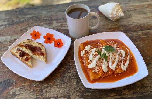 Isla Holbox House | Mapache Hostel