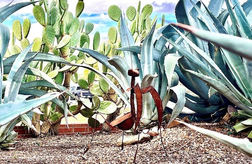 Poets Square Apartment | Modern Boho Casita w/Firepit in Historic Central Tucson Neighborhood