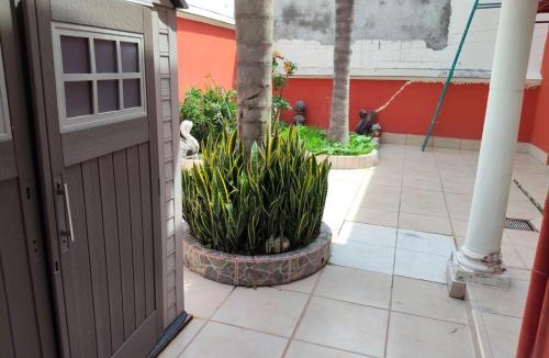 Coatepec House | Placentera y Amplia Casa en Coatepec Veracruz